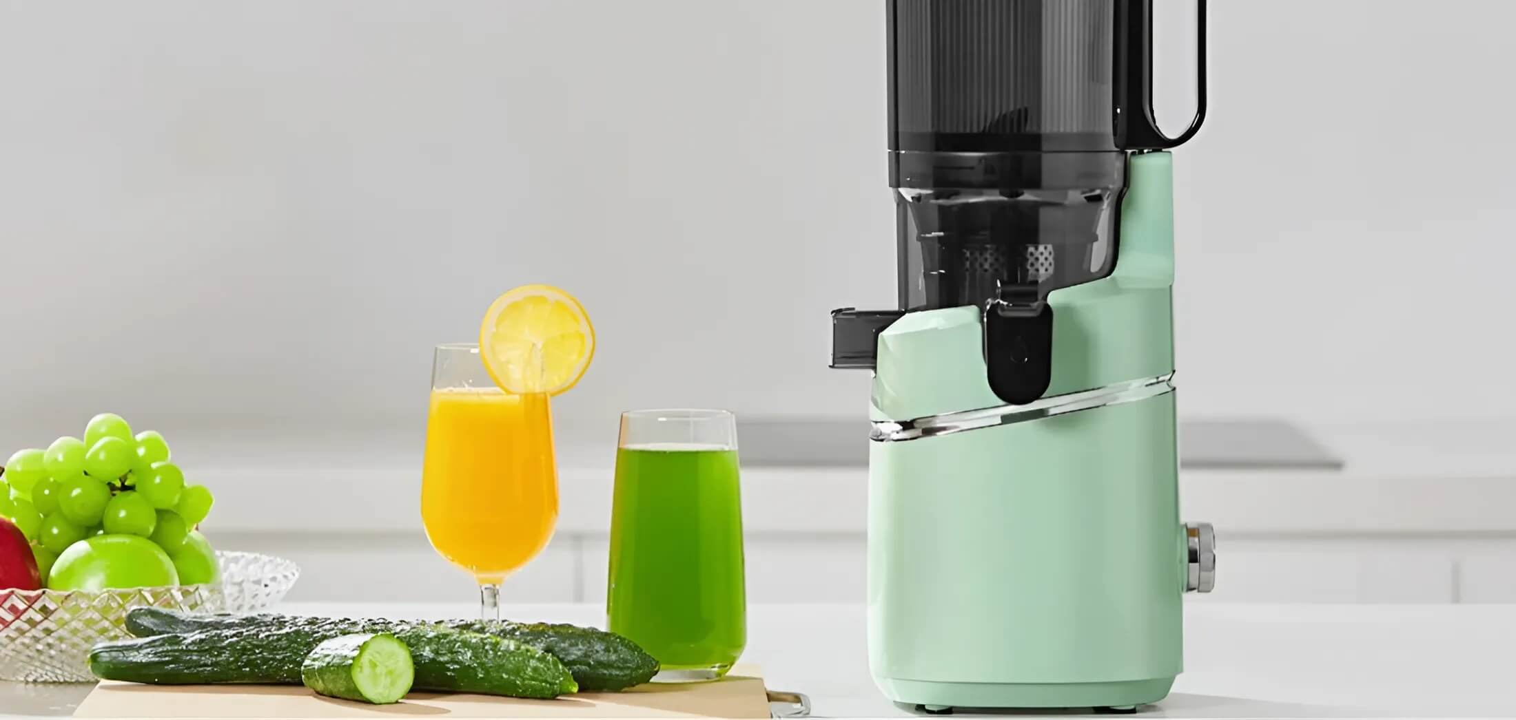 Extractor de zumo lento