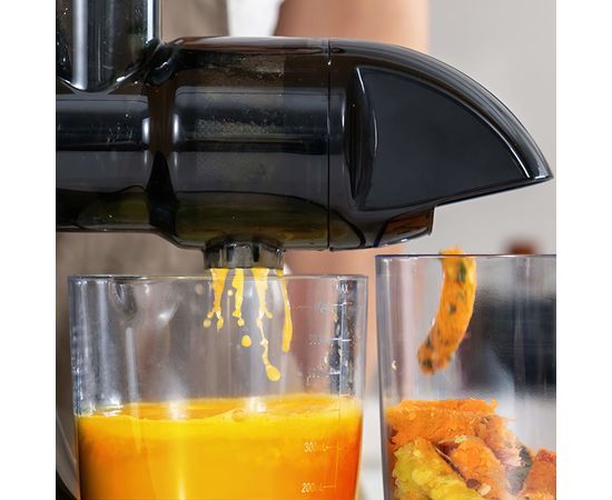 Extractor de Zumo Lento AMZCHEF 1501-GA, Sat25.com