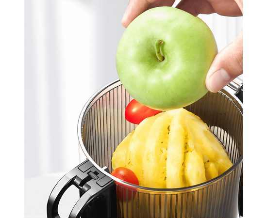 Extractor de Zumos con Auto-Alimentación AMZCHEF SJ-036-GA, Sat25.com