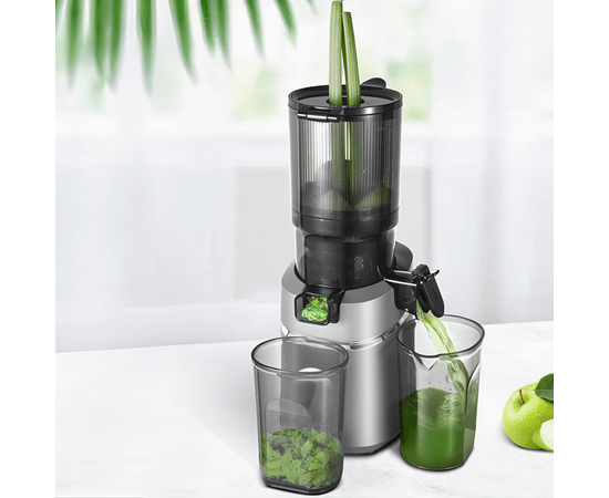 Extractor de Zumos con Auto-Alimentación AMZCHEF SJ-036-GA, Sat25.com